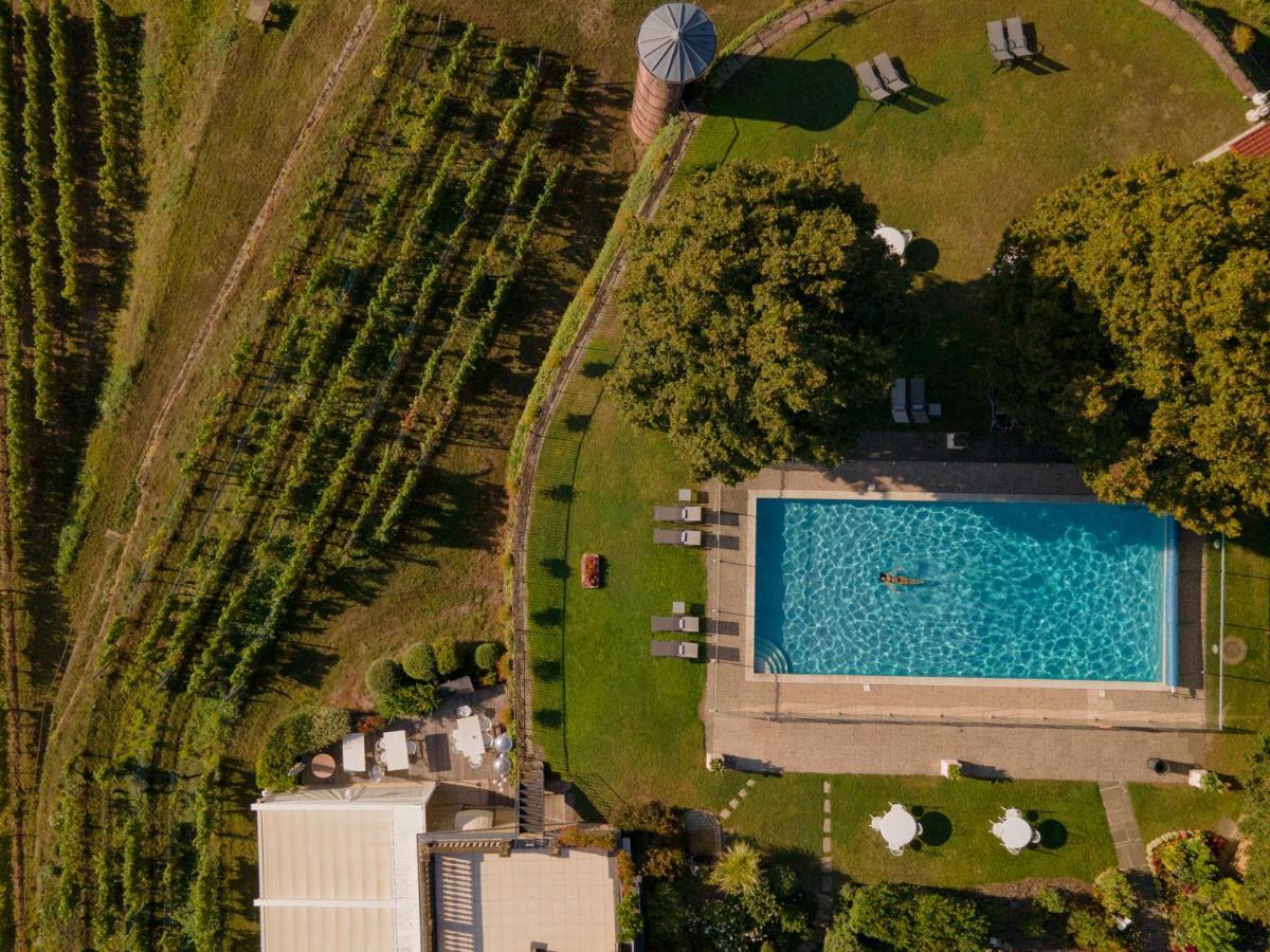 Chateau D'Isenbourg & Spa Rouffach Luaran gambar