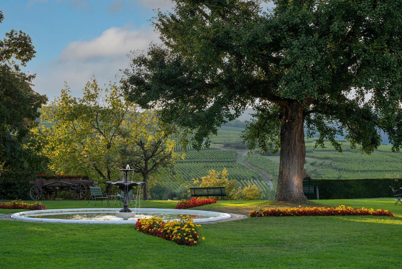 Chateau D'Isenbourg & Spa Rouffach Luaran gambar