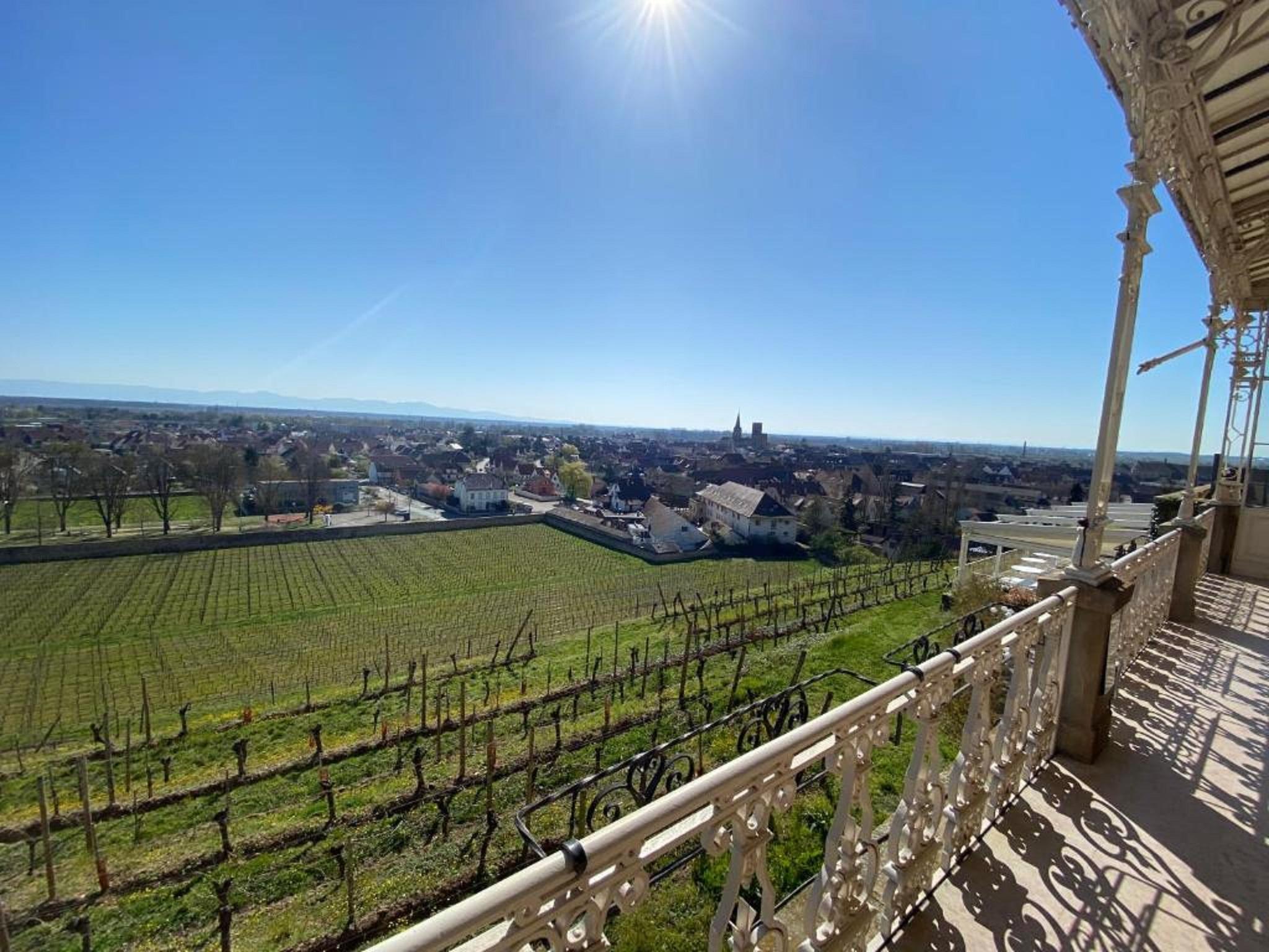 Chateau D'Isenbourg & Spa Rouffach Luaran gambar