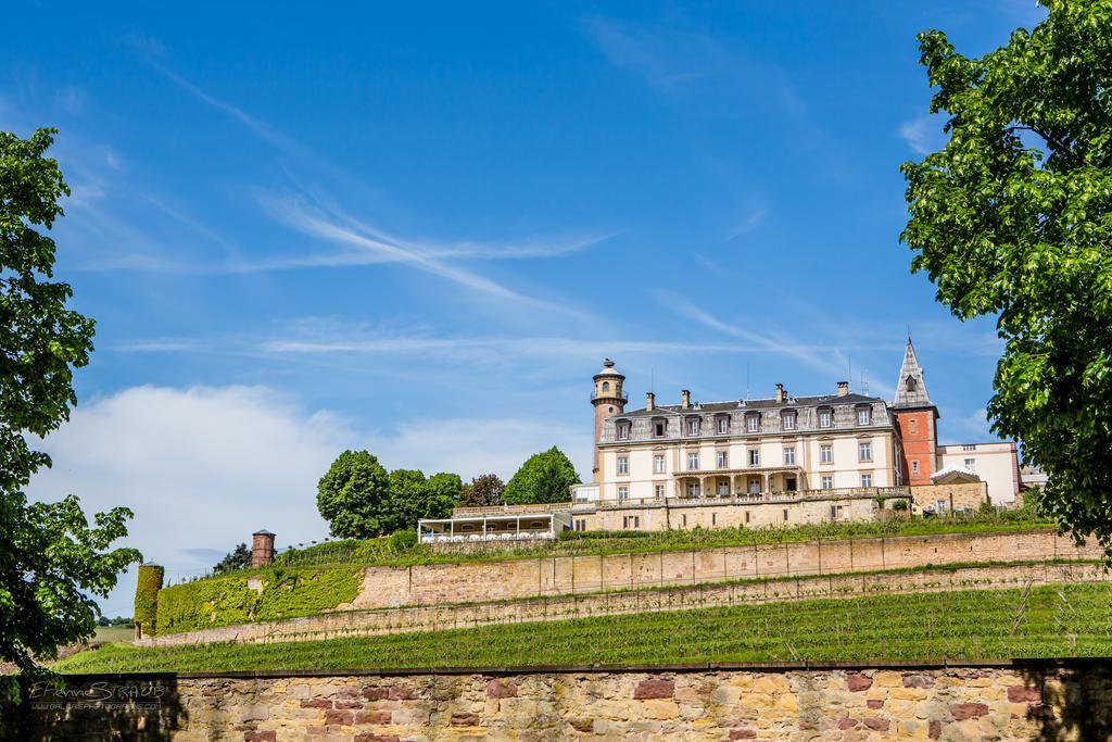 Chateau D'Isenbourg & Spa Rouffach Luaran gambar
